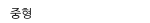 중형